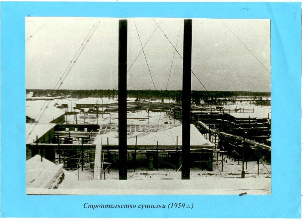 6 строительство сушилки 1950.jpg